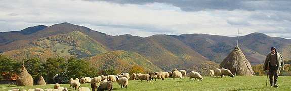 RUNDREISE SIEBENBÜRGEN