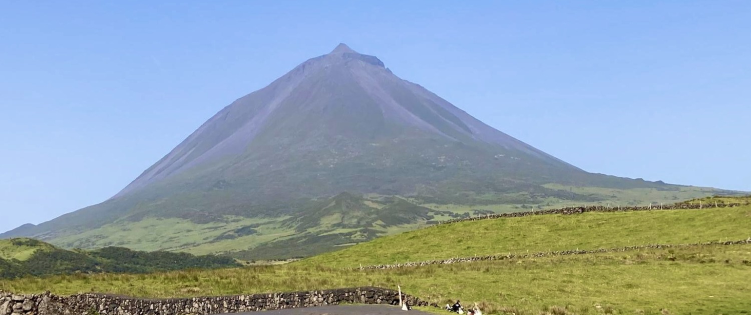 Pico